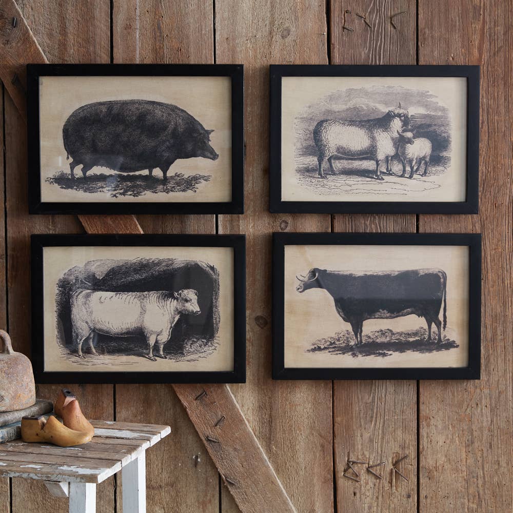 Homestead Framed Canvas - Cow