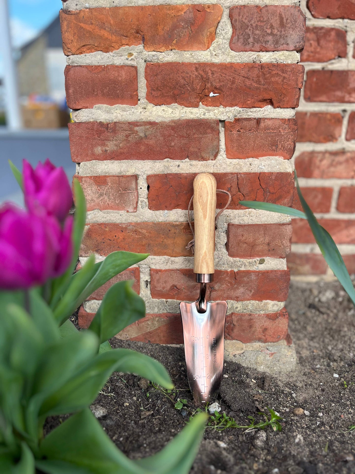 Copper Transplanter with Wooden Handle