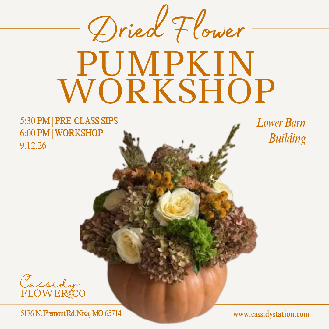 November 12th | Dried Flower Pumpkin Workshop