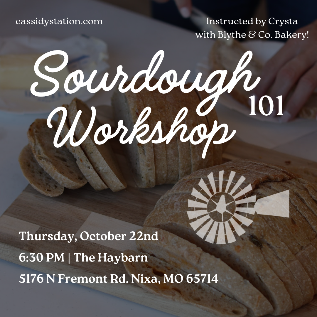 October 22nd | Sourdough 101 Workshop