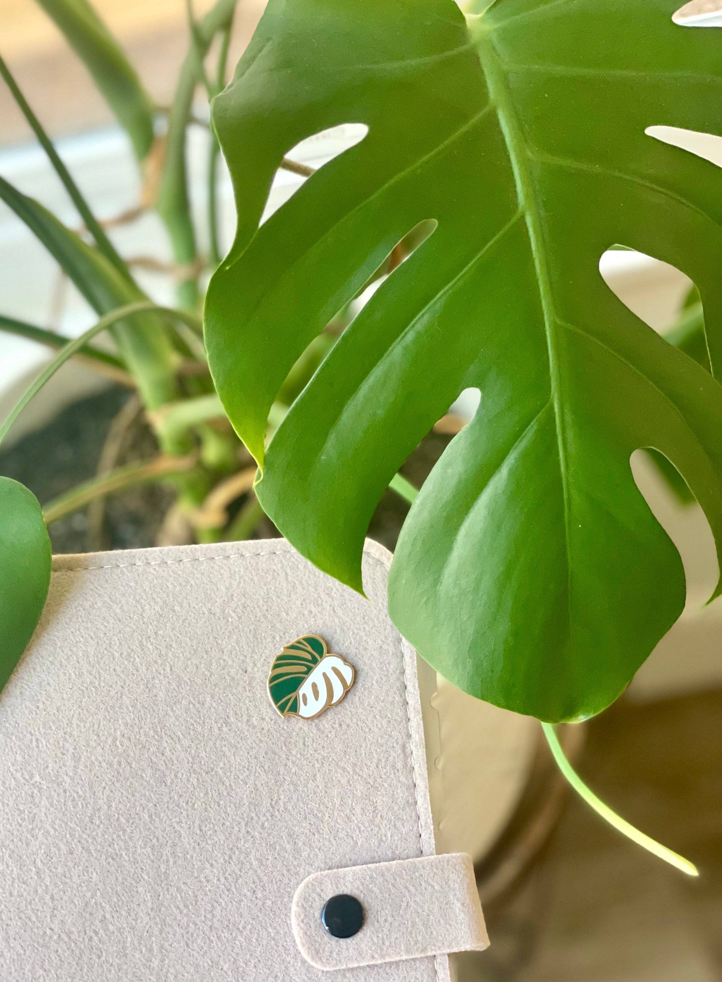 Monstera Variegated Leaf Enamel Pin