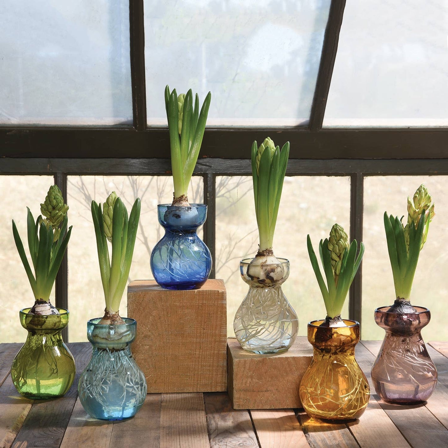 Bulb Vase - Recycled Clear