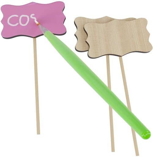 Paint and Plant Flower Growing Kit