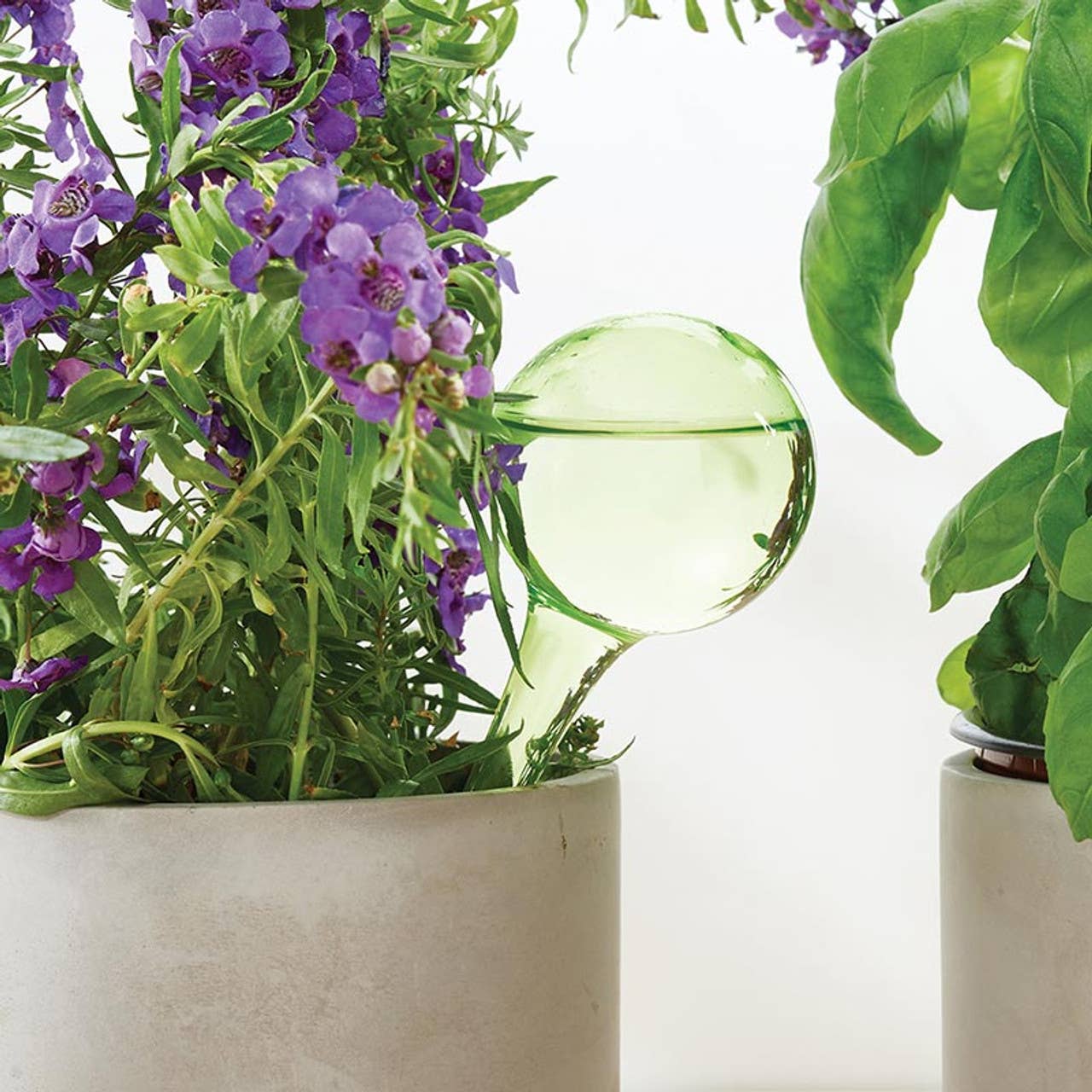 Garden Watering Globe