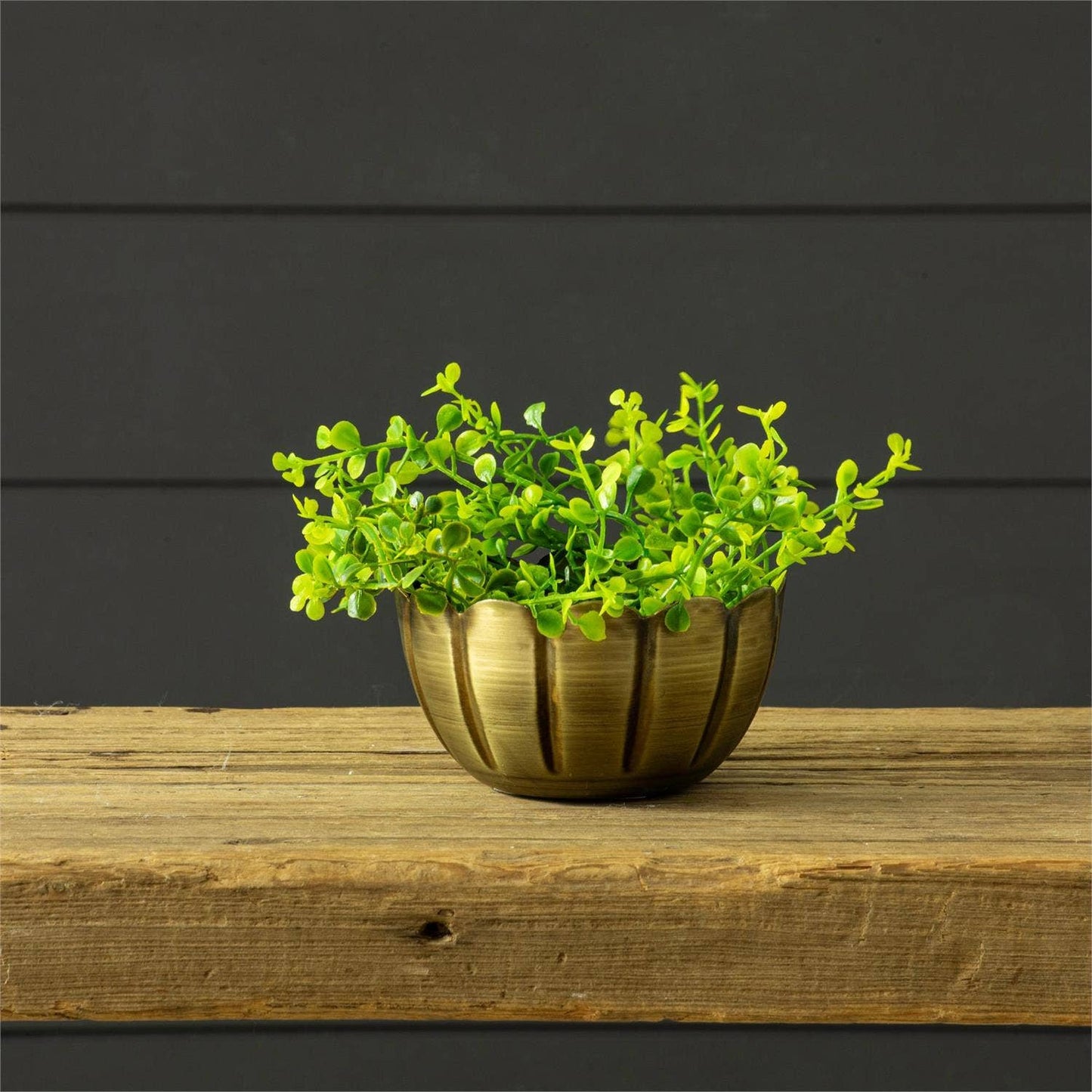 Scalloped Brass Mini Bowl