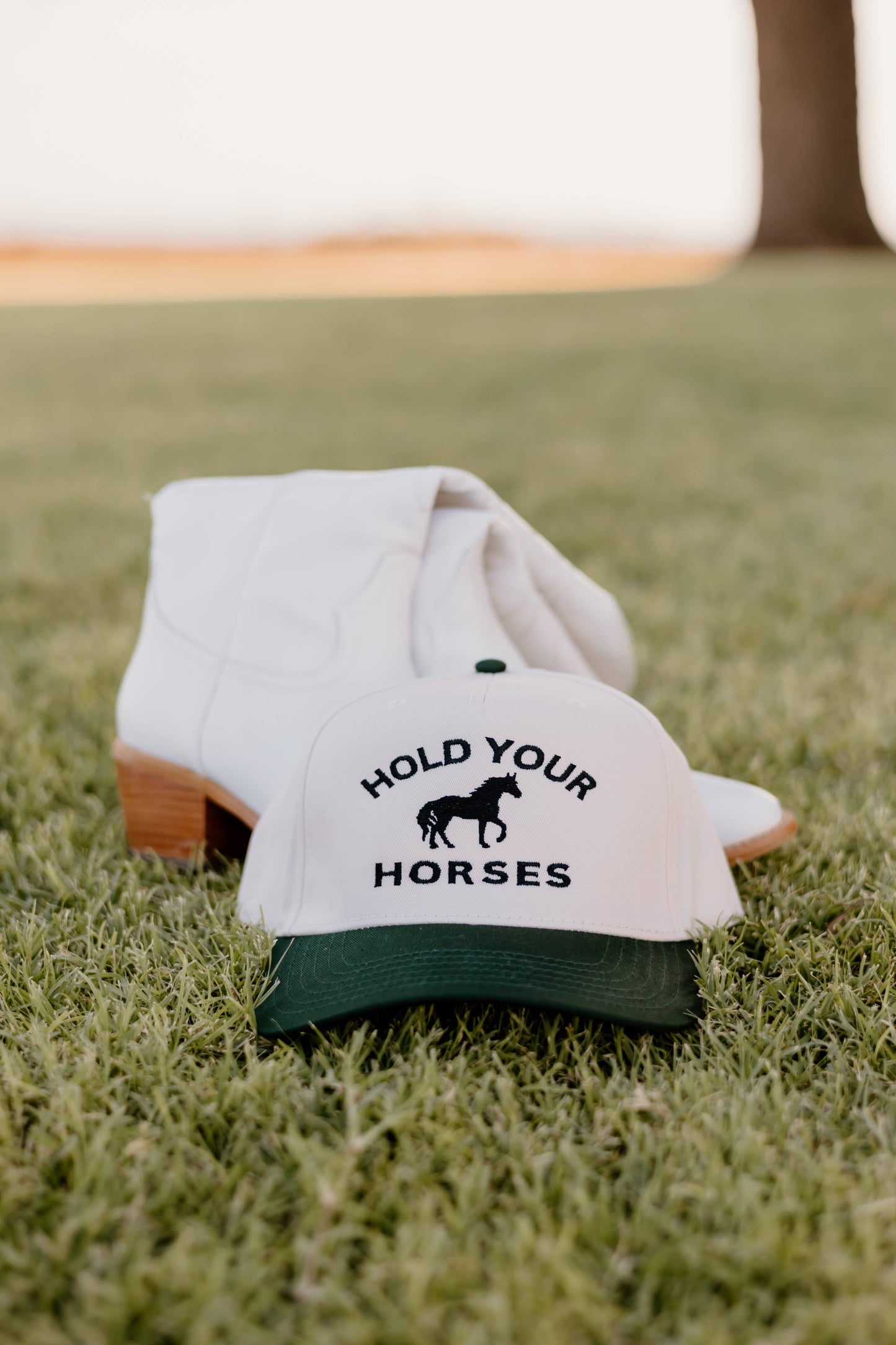 Hold Your Horses Trucker
