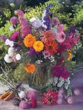 Help Butterflies Help Pollinators - Wildflower Seed Packets