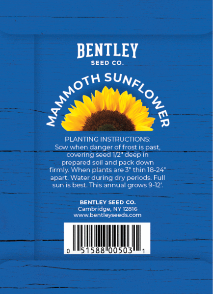 Chicken in Blue - Mammoth Sunflower Seed Packets