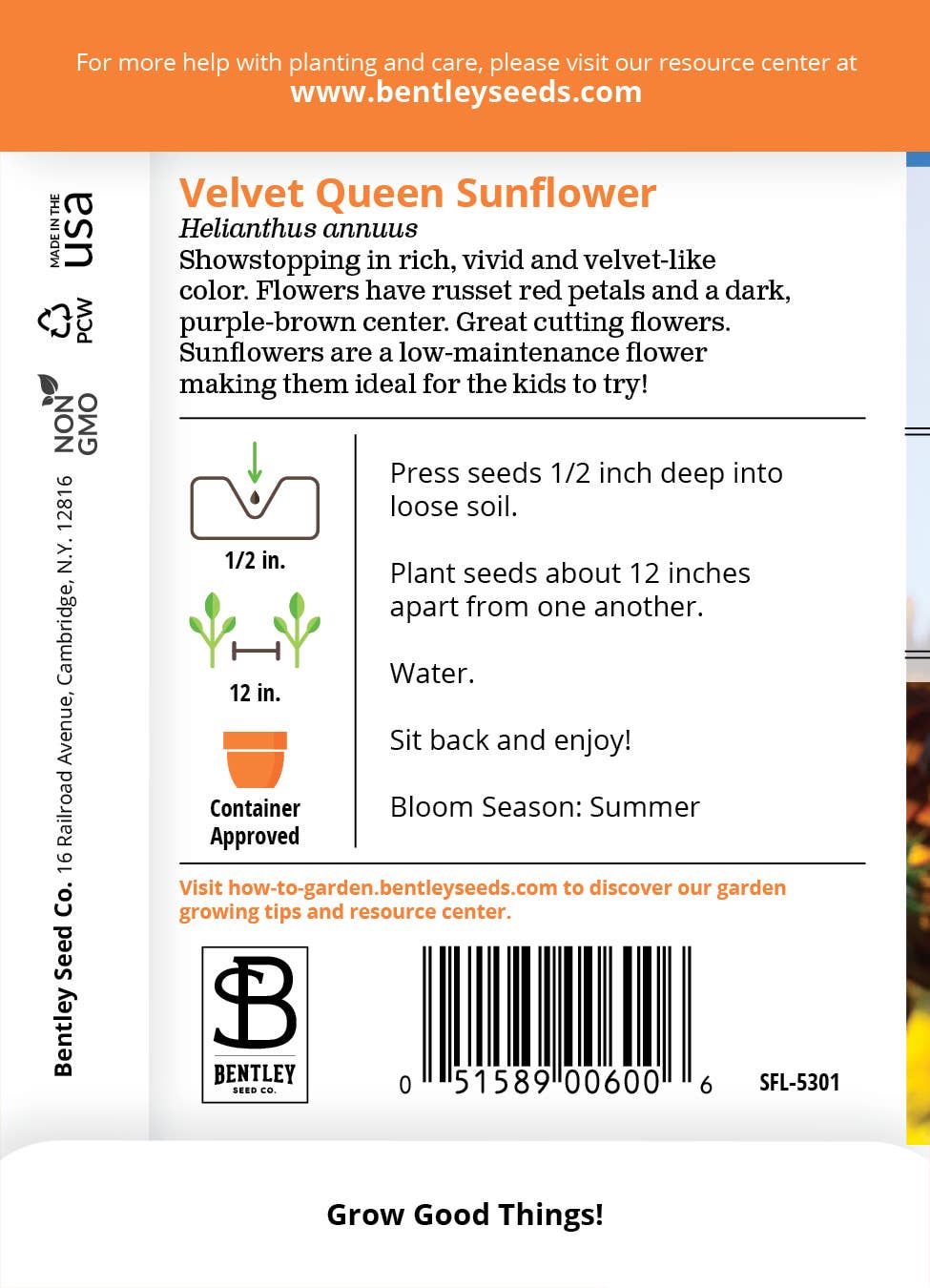 Sunflower, Velvet Queen Seed Packets