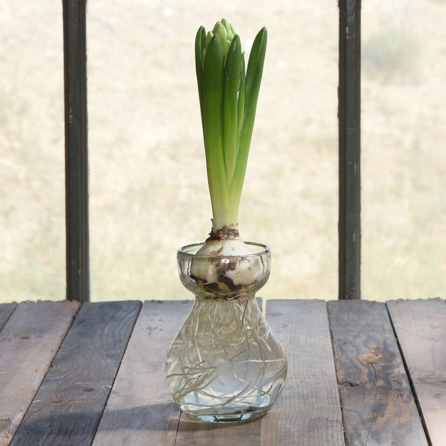 Bulb Vase - Recycled Clear