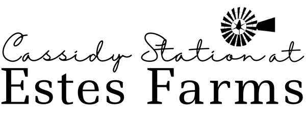 Cassidy Station logo