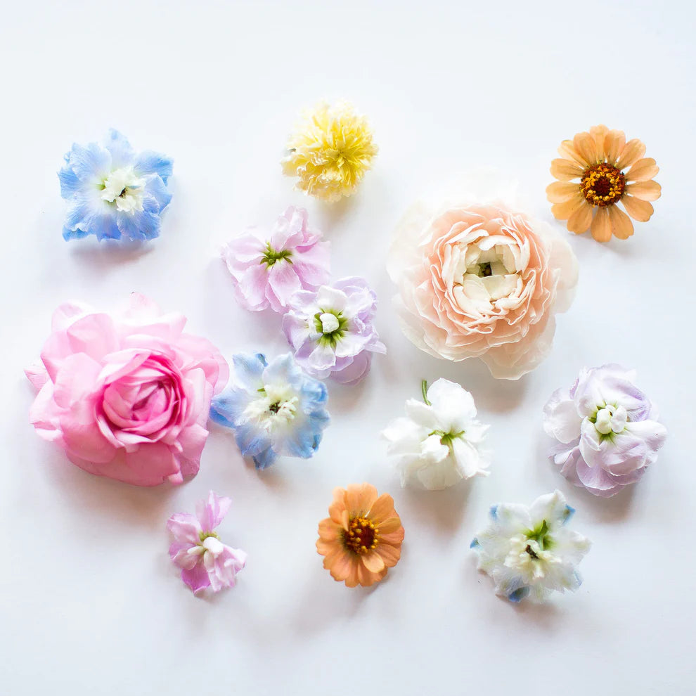 From the Garden