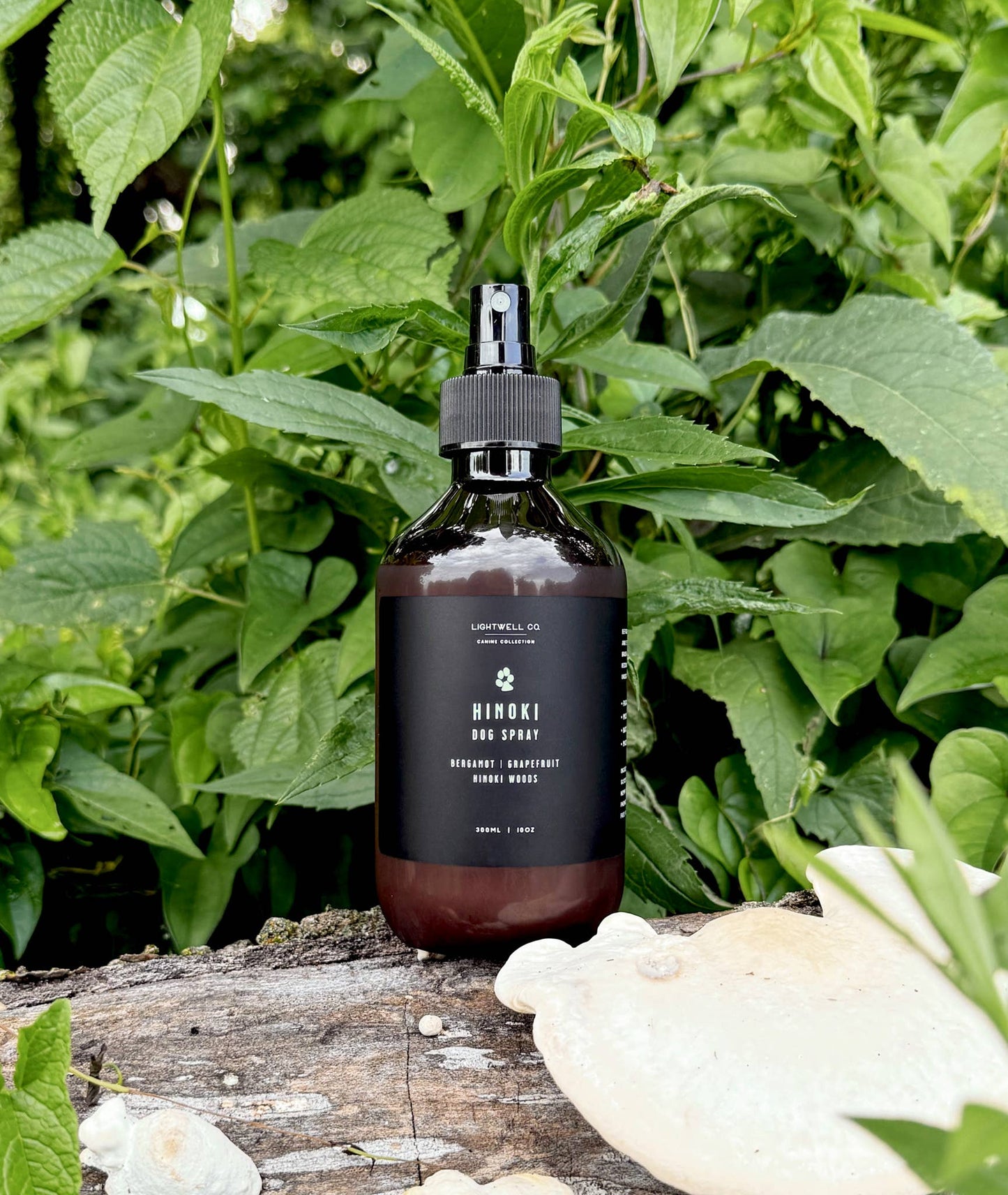 Hinoki Dog Spray