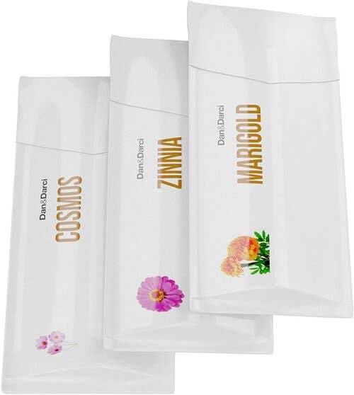 Paint and Plant Flower Growing Kit