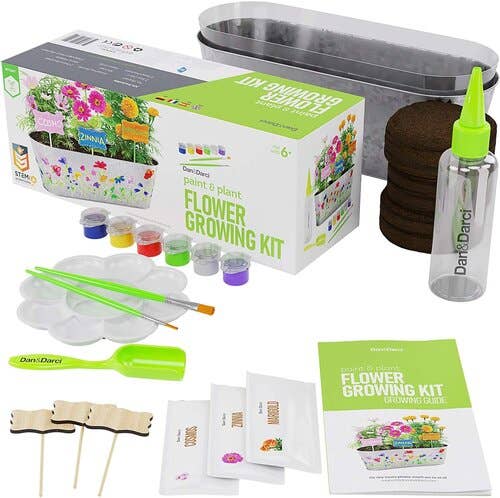 Paint and Plant Flower Growing Kit