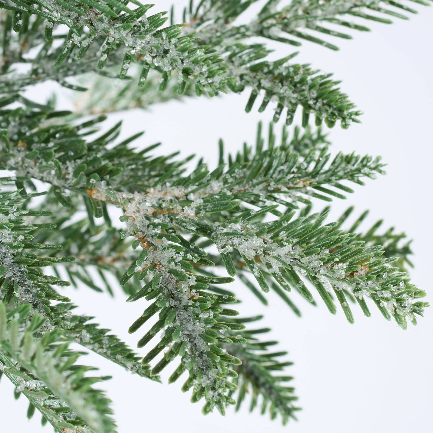 Large Icy Pine Tree