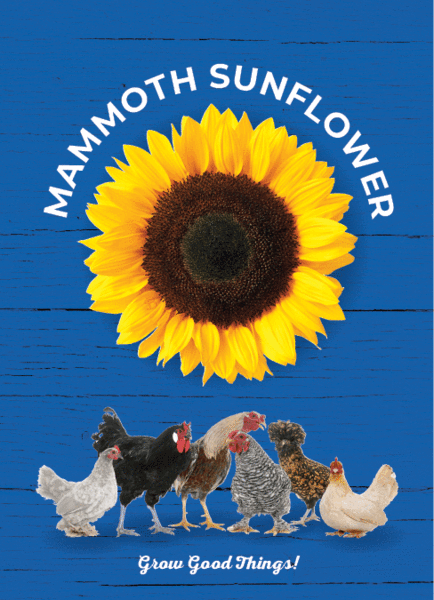 Chicken in Blue - Mammoth Sunflower Seed Packets