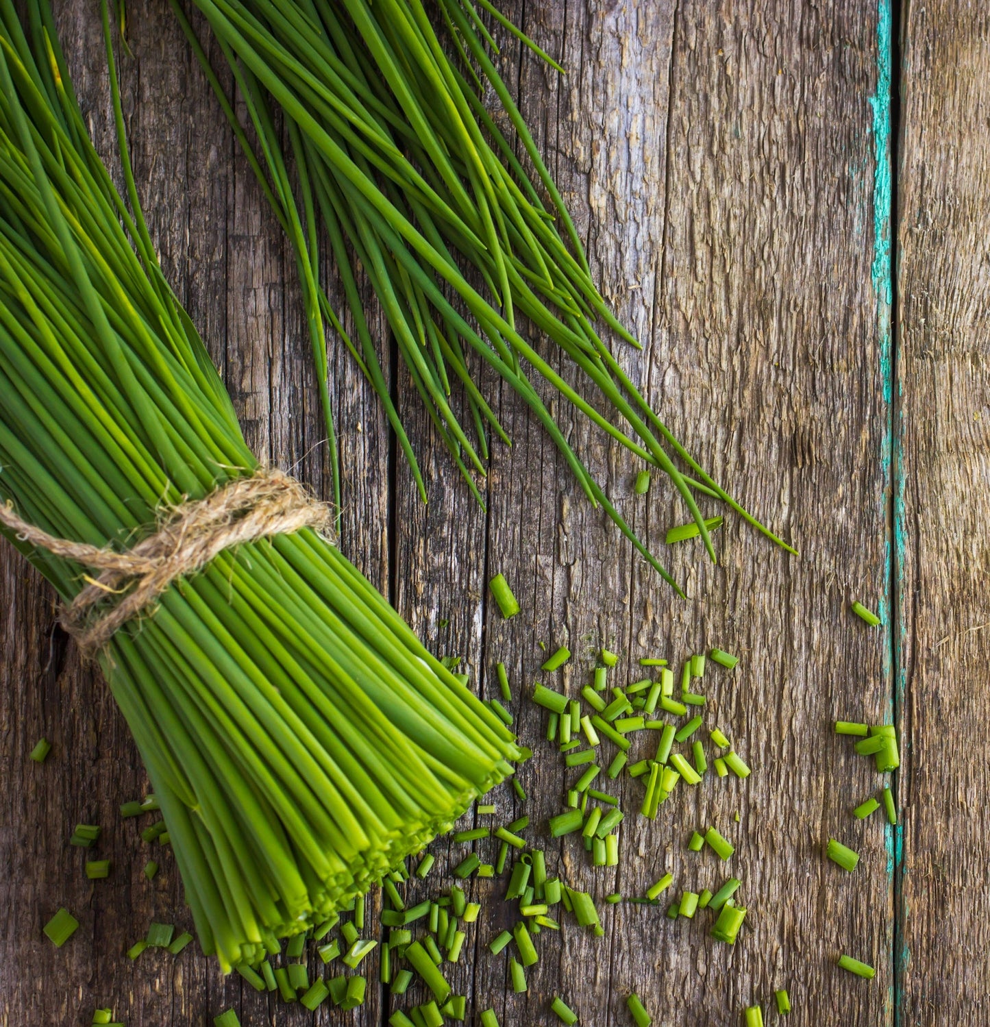 Chives Seed Packets