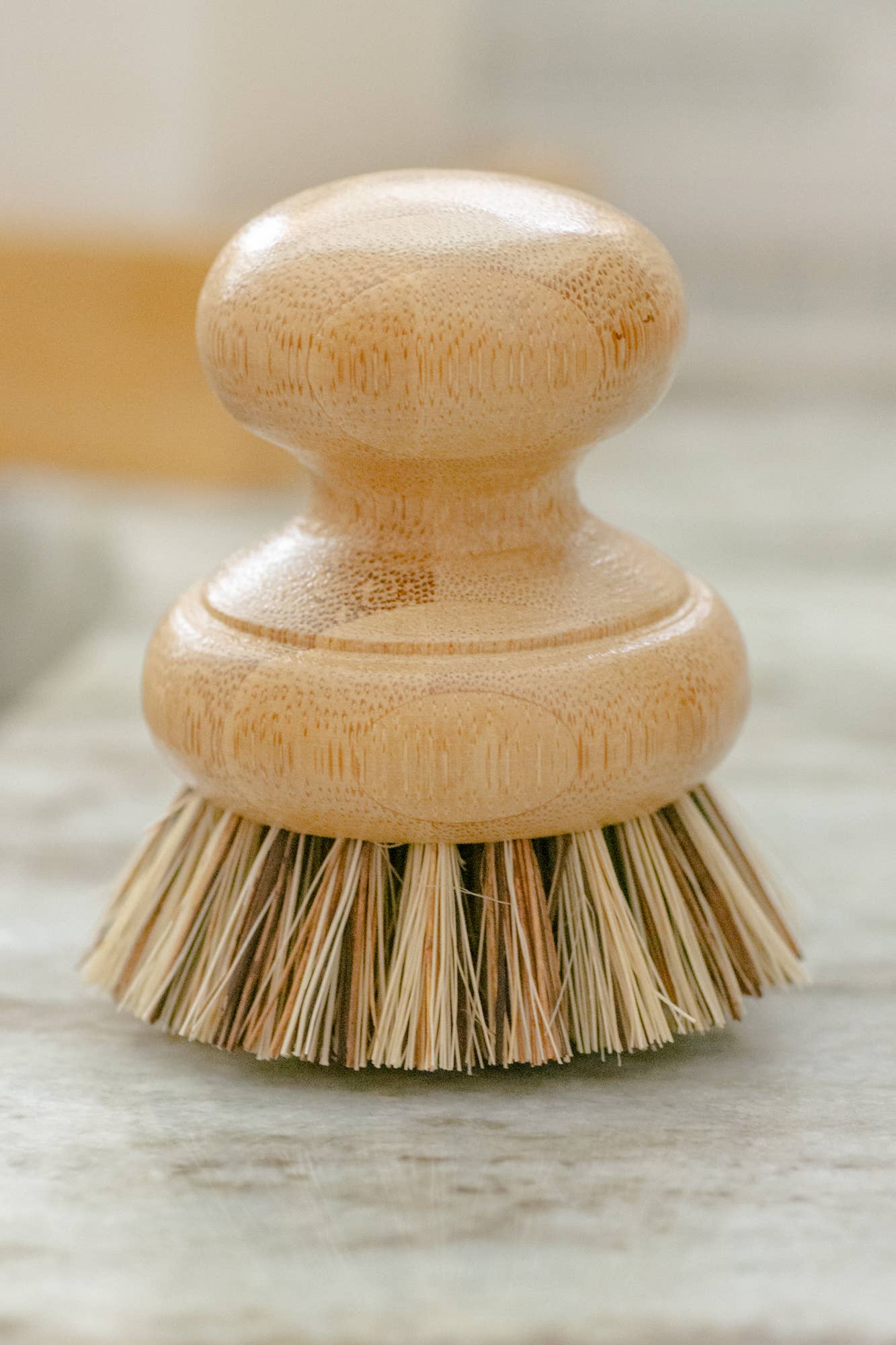 CASA AGAVE® Pot Scrubber Brush