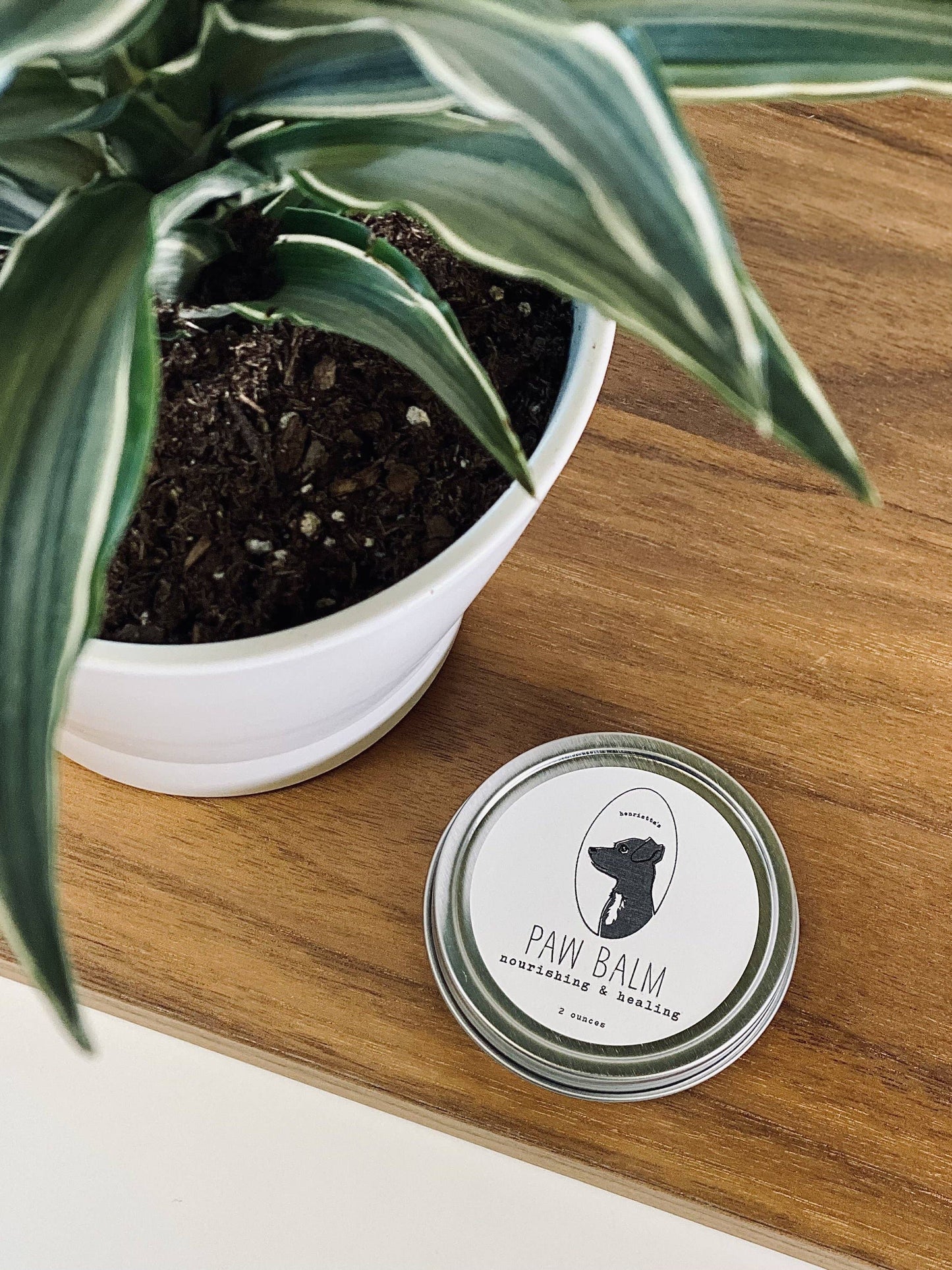 Dog Paw Balm