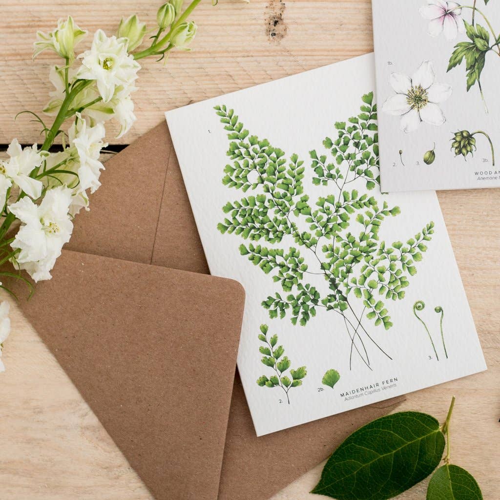 Maidenhair Fern Card