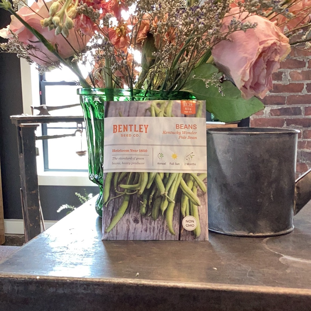 Bean-Kentucky Wonder (Green Pole)