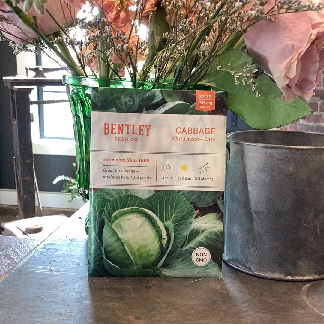 Cabbage-Late Flat Dutch