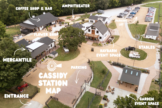 What to Expect When Visiting Cassidy Station