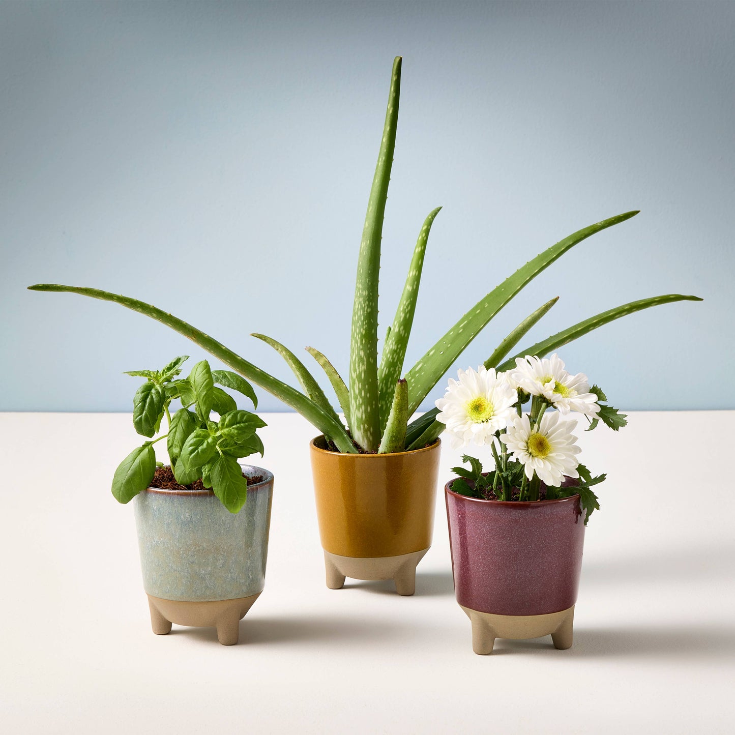 Glow and Grow 2-in-1 Candle + Grow Kit