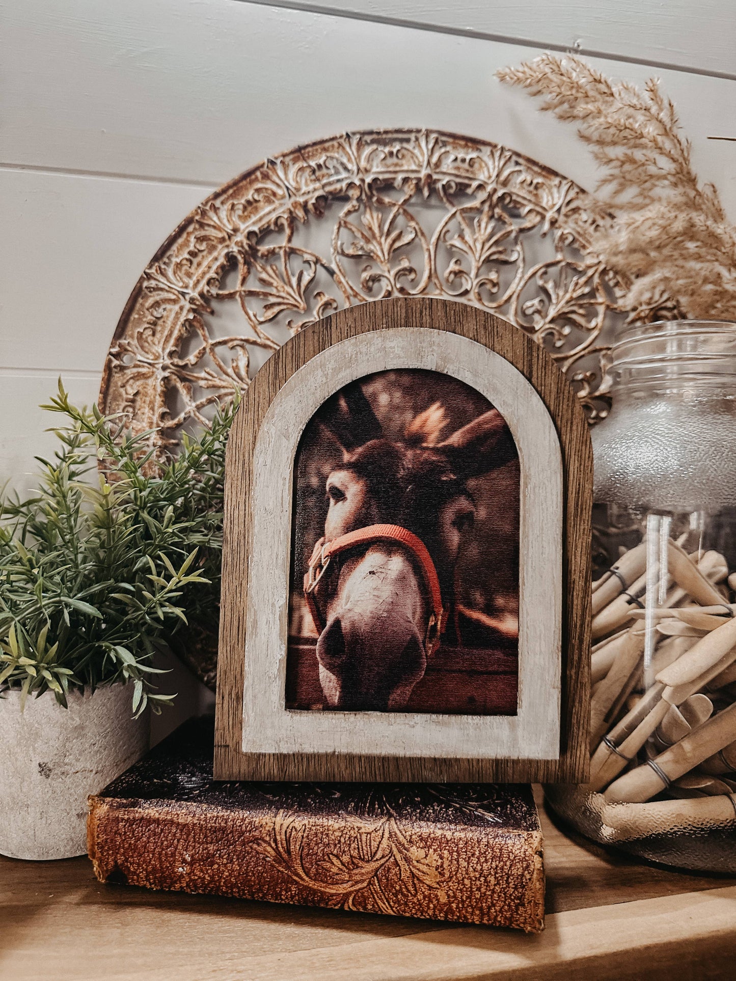 Arched Donkey Art