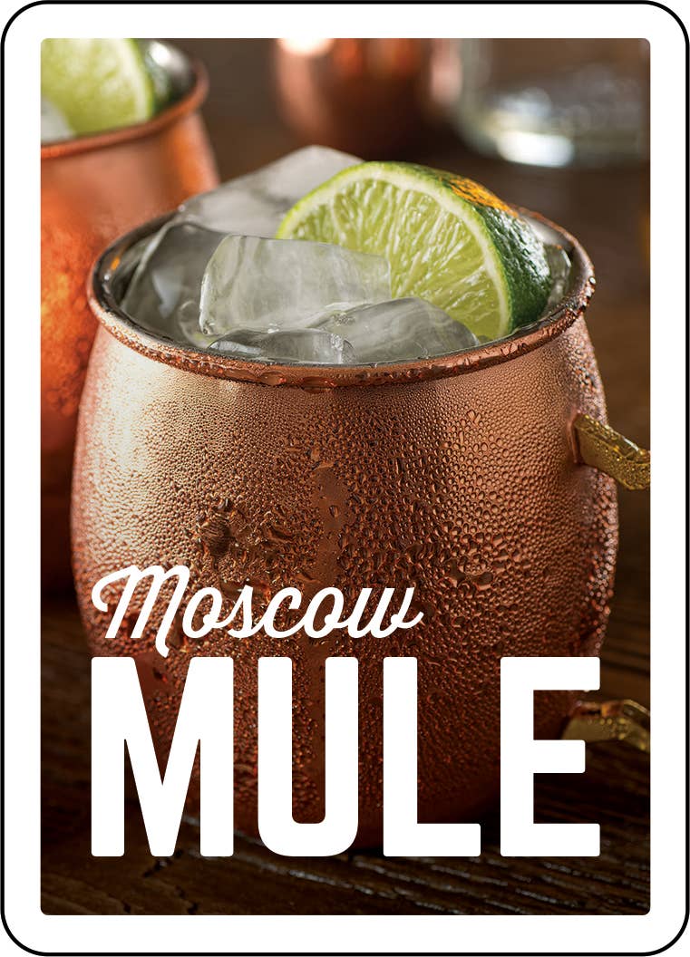 The Art of Mixology Cocktail Recipes Cards