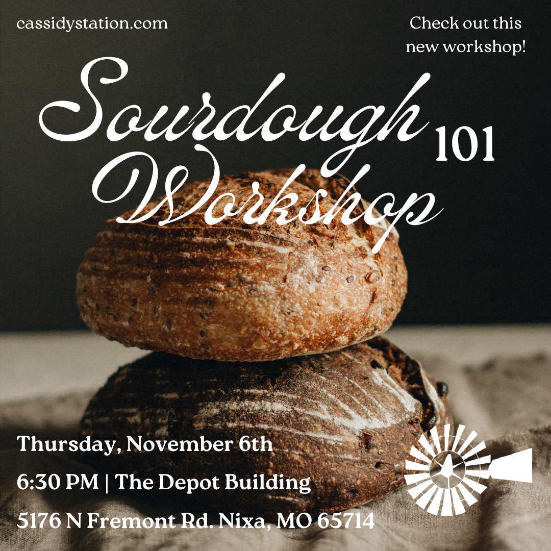 November 6th | Sourdough 101 Workshop