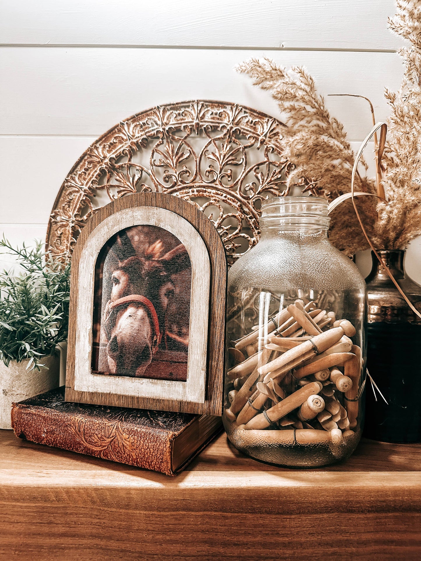 Arched Donkey Art