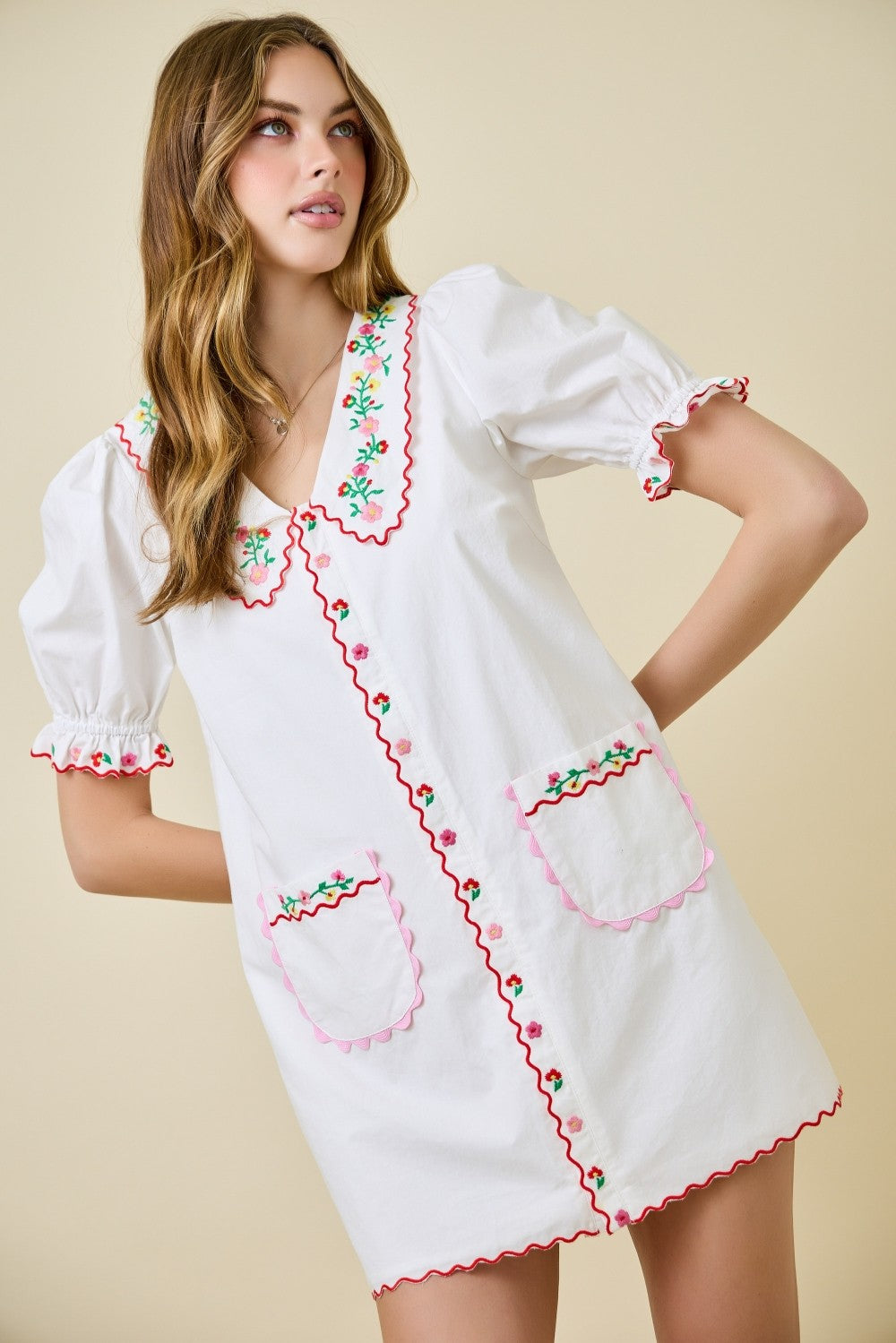 Flower Embroidered Mini Dress