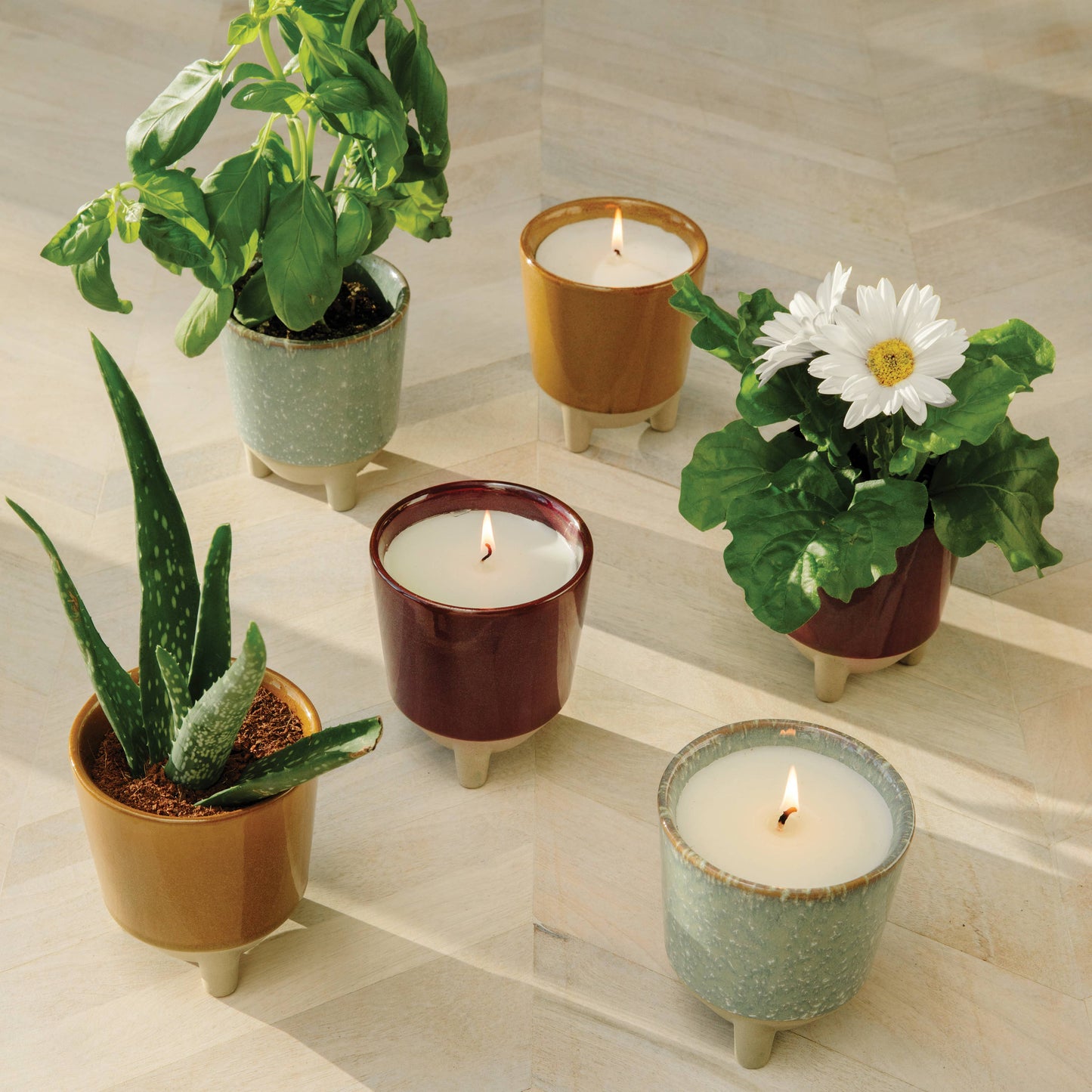 Glow and Grow 2-in-1 Candle + Grow Kit