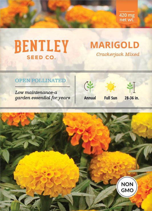 Marigold, Crackerjack Mixed Colors Seed Packets