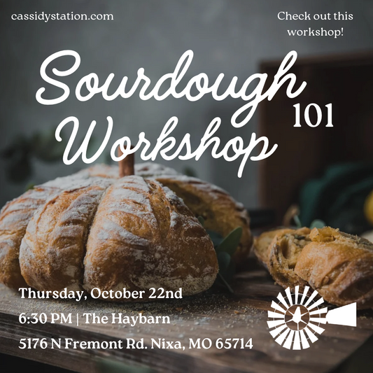October 22nd | Sourdough 101 Workshop