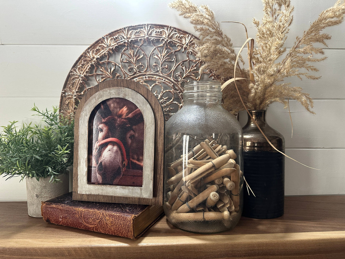Arched Donkey Art