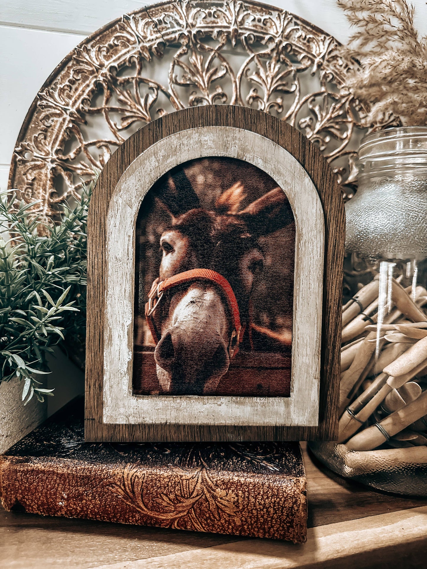 Arched Donkey Art