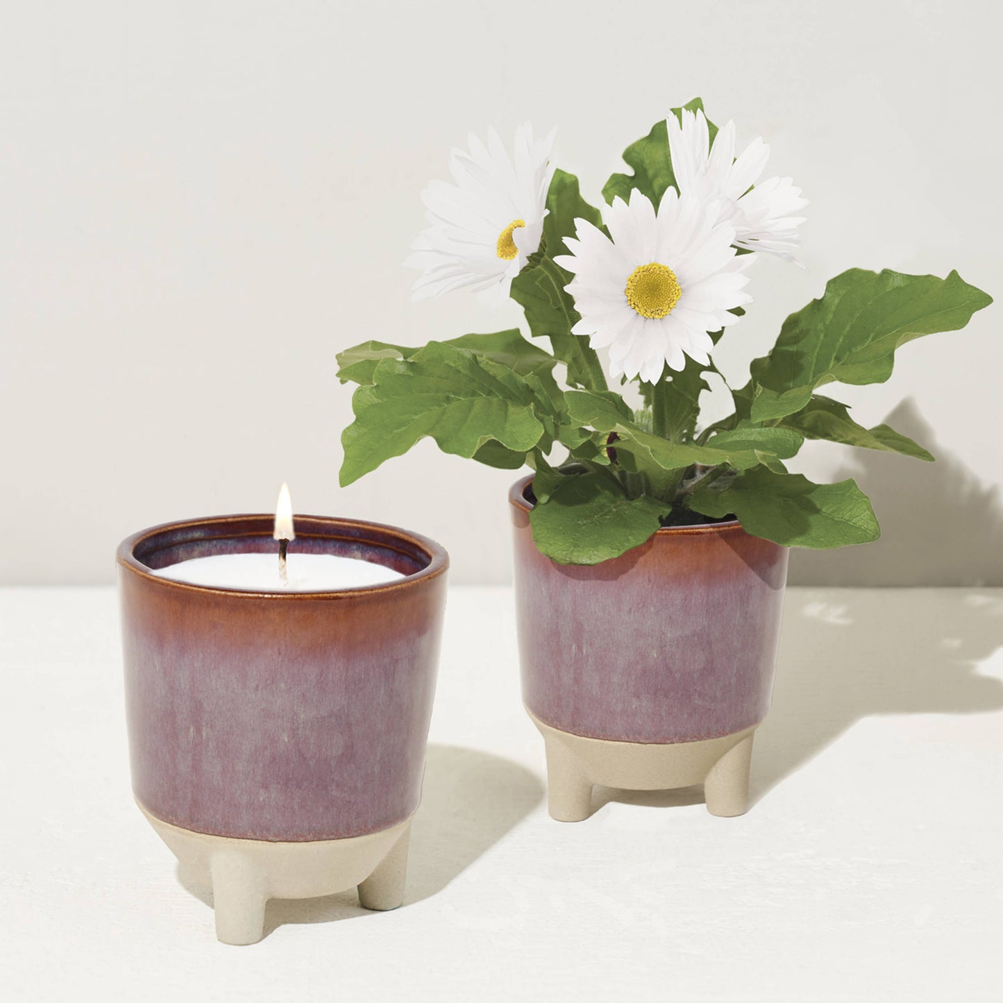 Glow and Grow 2-in-1 Candle + Grow Kit