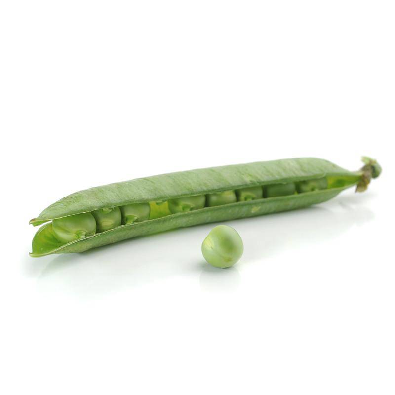 Peas-Little Marvel Shelling 1900