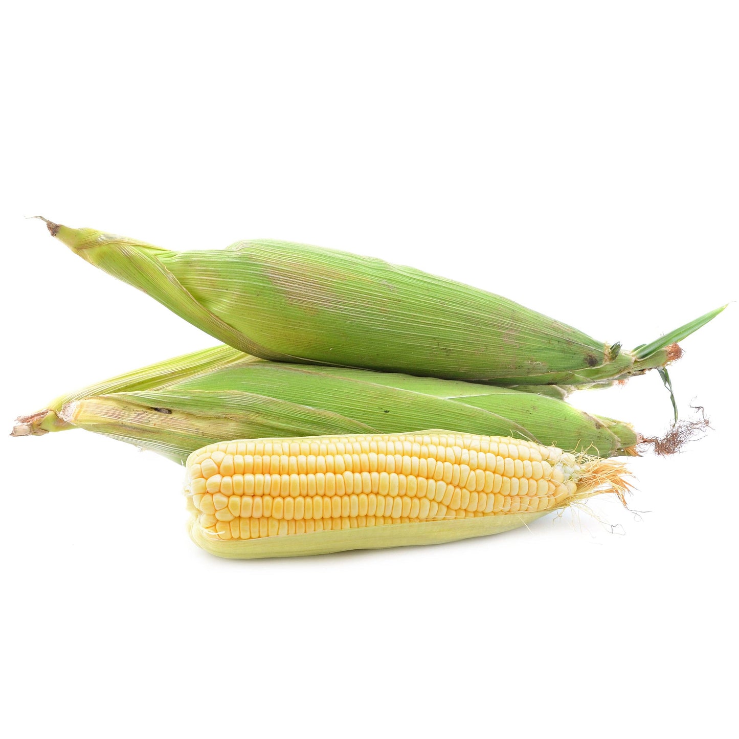 Corn-Golden Bantam 1902