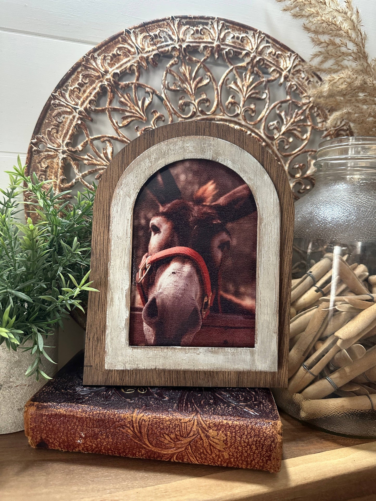 Arched Donkey Art