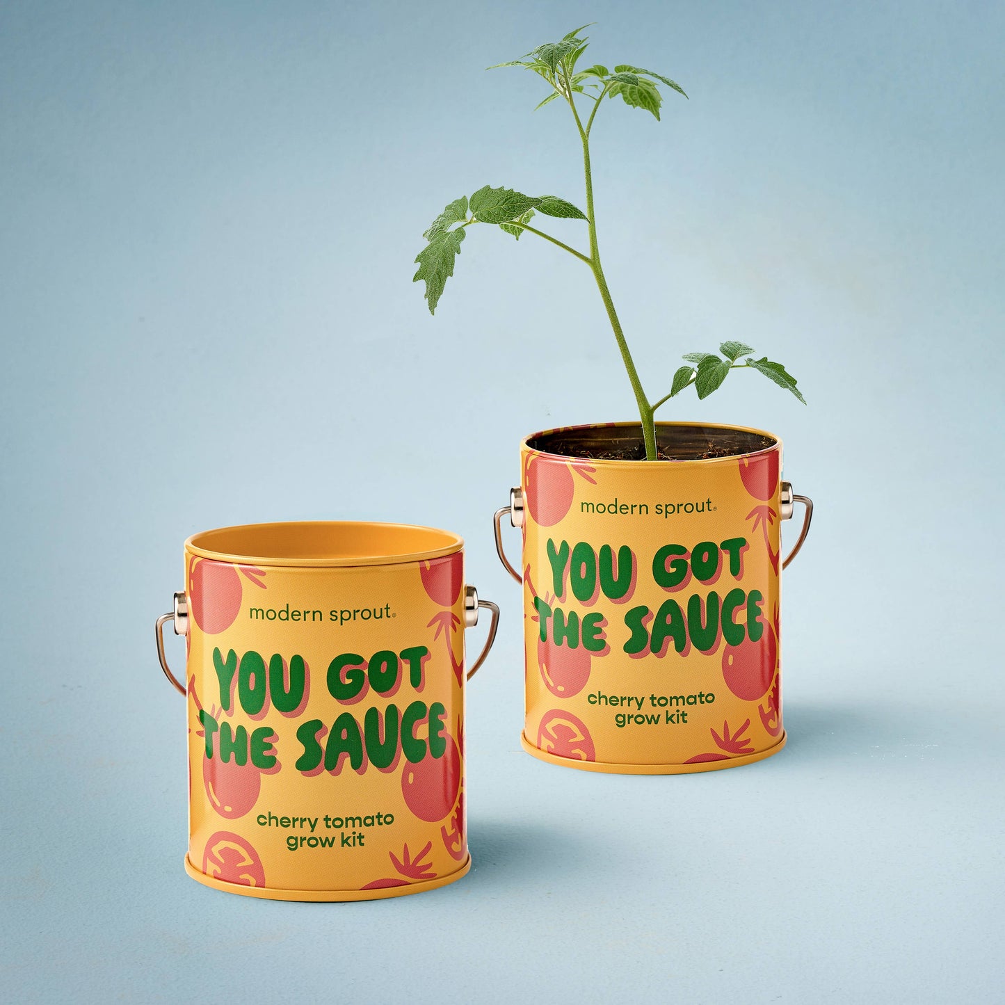 Complimentary Color Grow Kits
