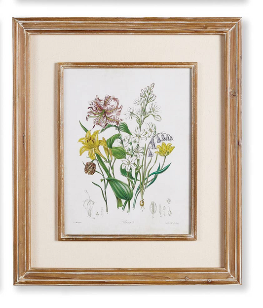 Garden Botanical Prints