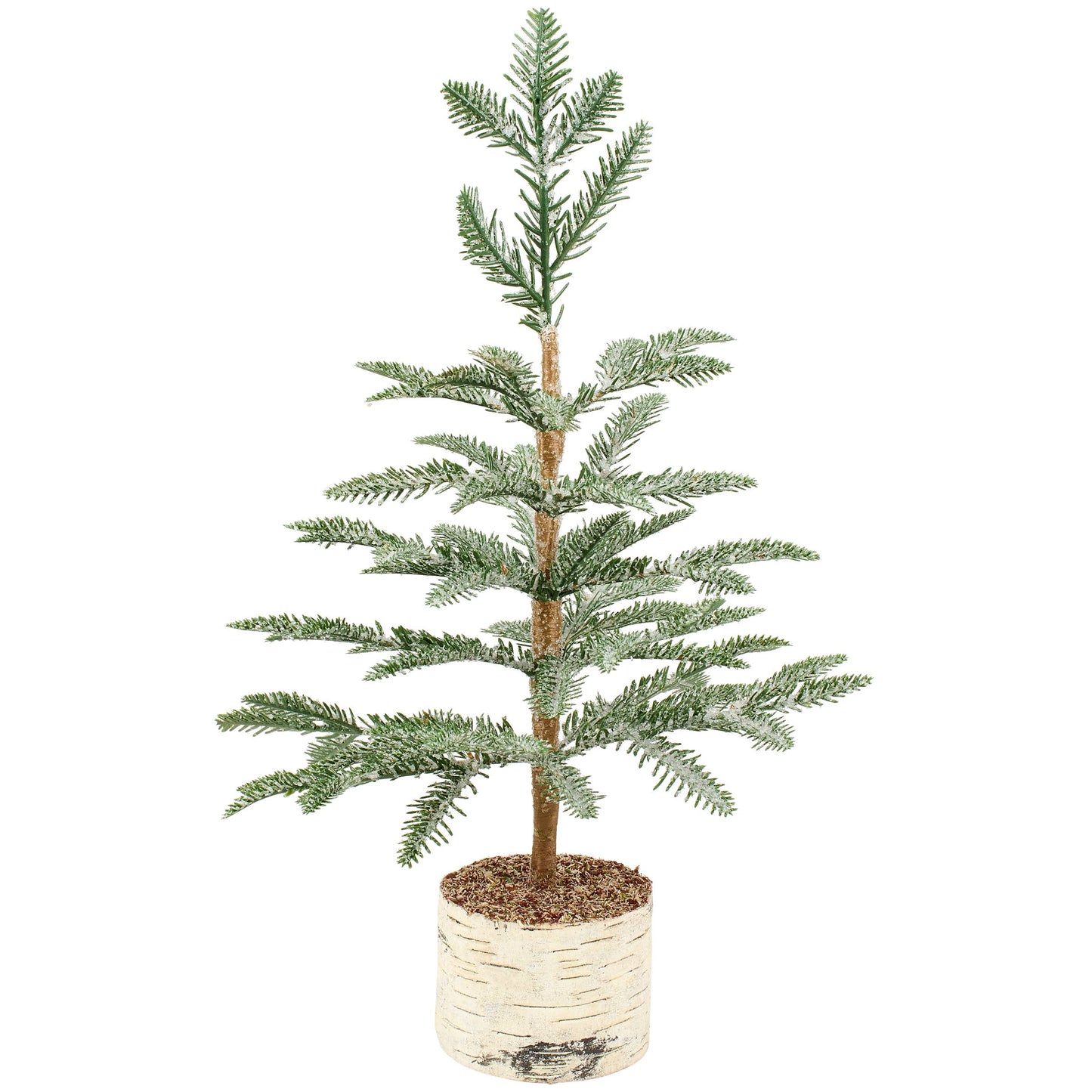 Large Icy Pine Tree