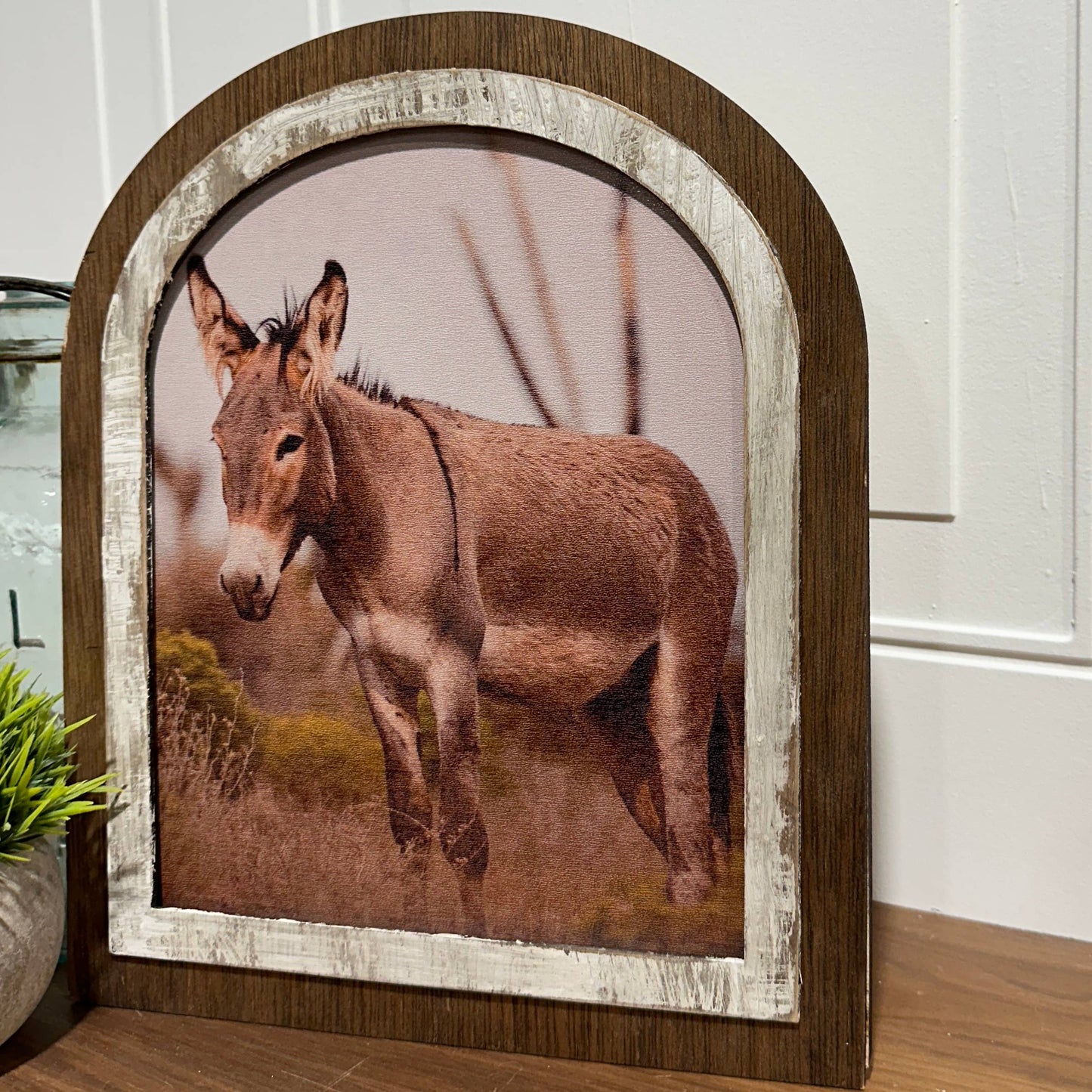 Donkey Wall Art
