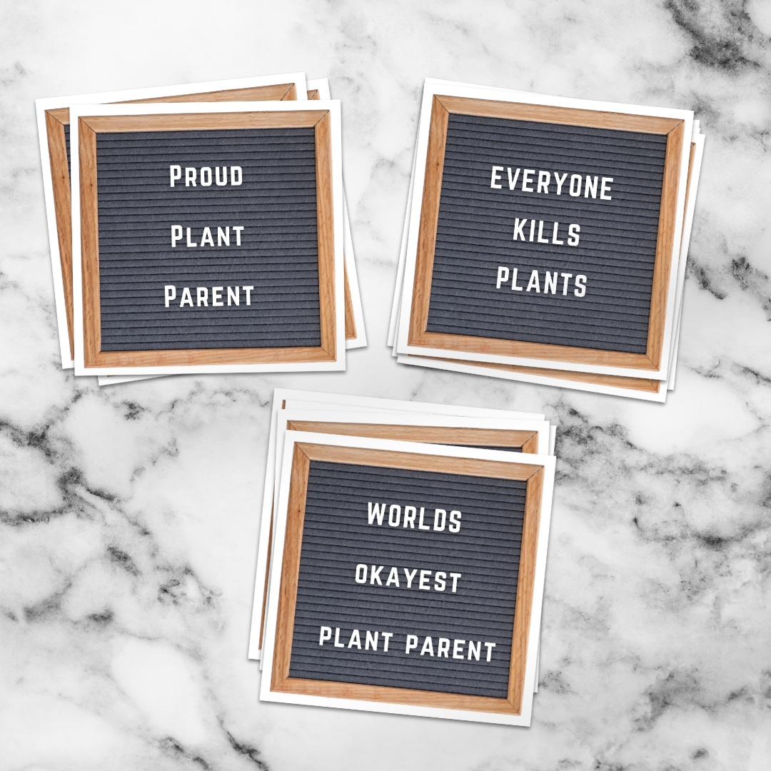 Worlds Okayest Plant Parent Vinyl Sticker