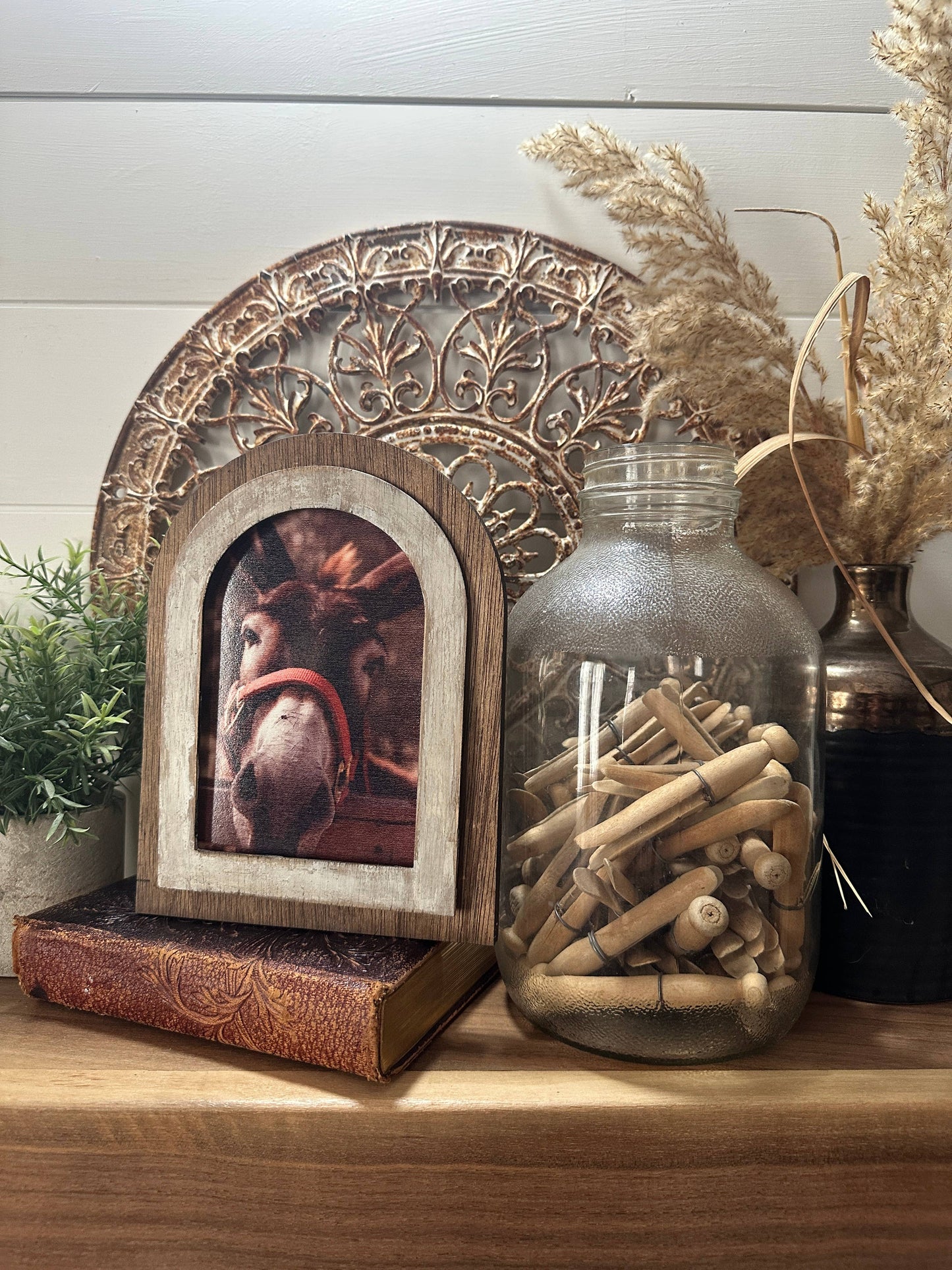 Arched Donkey Art