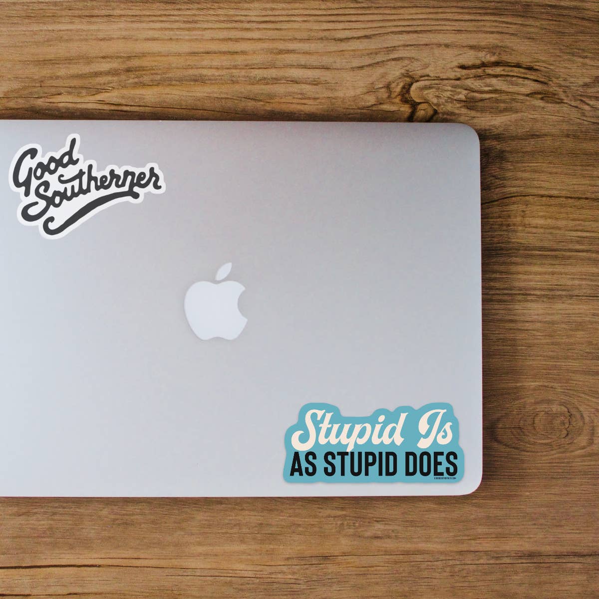 Stupid Is As Stupid Does Sticker